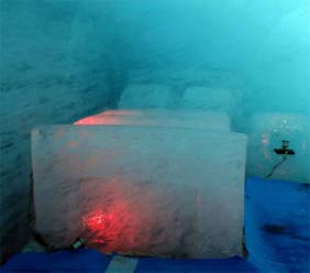ice sculpture
